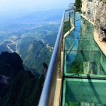 Gallery Thumbnail 11